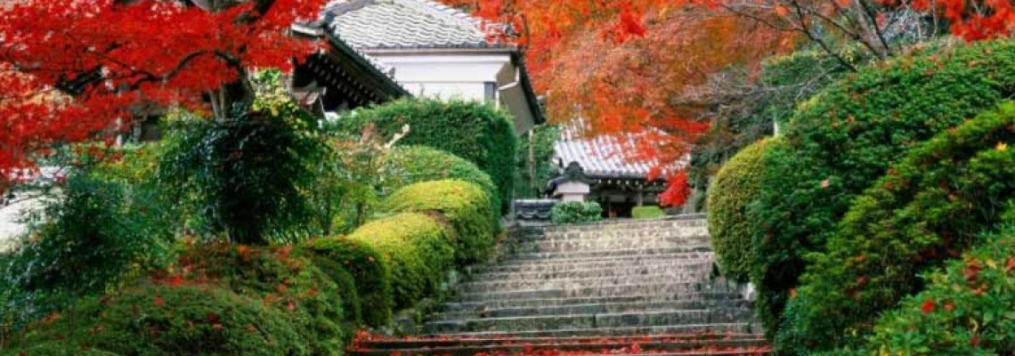 Kış Mevsimi Geldiğinde Bahçemiz İçin Neler Yapabiliriz ?