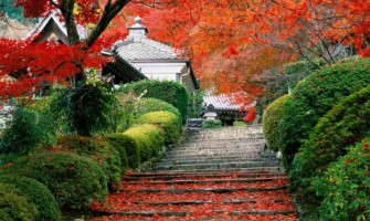 Kış Mevsimi Geldiğinde Bahçemiz İçin Neler Yapabiliriz ?